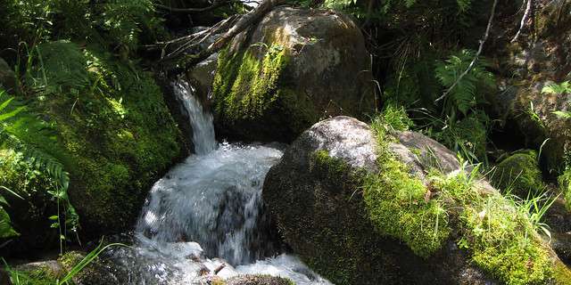 2768570238_514d4f3043_z.jpg