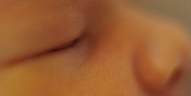 2897567899_977e7bfc02_z.jpg