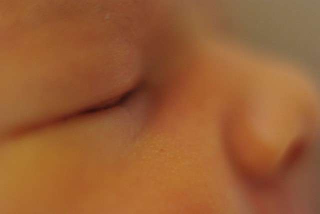 2897567899_977e7bfc02_z.jpg