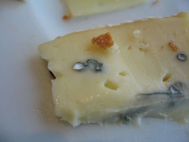 446774807_3f2f3245e7_z.jpg