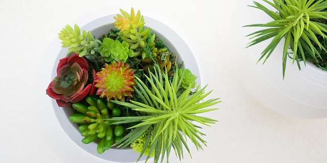 artificial-plant-1.jpg