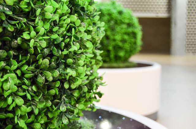 artificial-plant-3.jpg